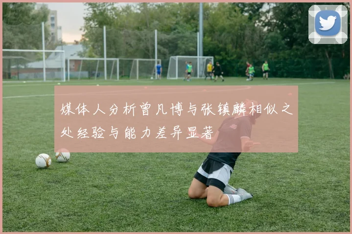 媒体人分析曾凡博与张镇麟相似之处经验与能力差异显著